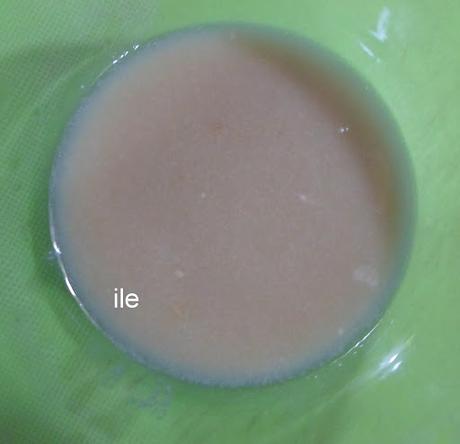 Pescado con pasta de sésamo o tahine