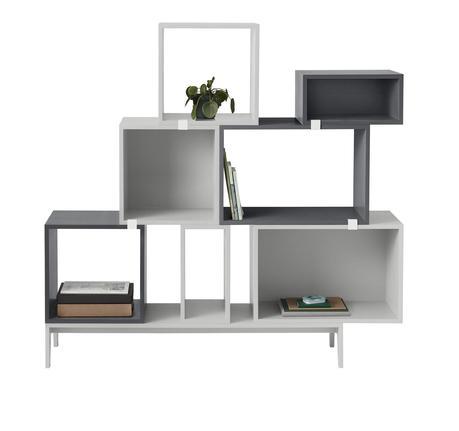 La nueva colección La nueva colección