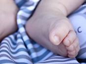 Cortafuegos, frailecillos patilludos: calvas bebés