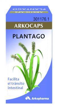 plantago Plantago ovata o psyllium para la salud intestinal