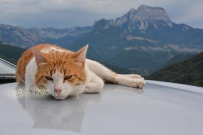 Senderismo en el valle de Escuaín: ruta de las ermitas de Tella y miradores de Revilla