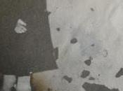 Generación Encantada (19): Escandar Algeet: ojalá joder (2):