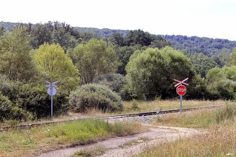 Antiguo Camino de Santiago: Robles de La Valcueva a La Robla en bici.