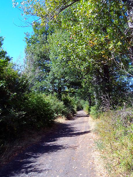 Antiguo Camino de Santiago: Robles de La Valcueva a La Robla en bici.