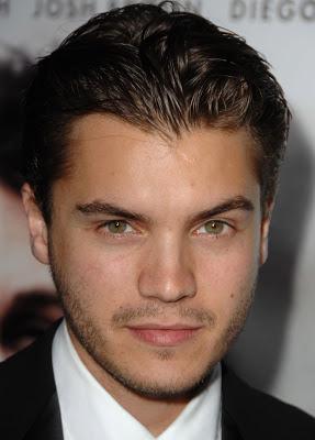 Emile Hirsch  condenado a prisión