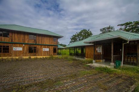 Reencuentro con el Pacífico