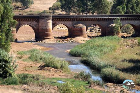 Puente-romano de Niebla