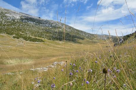 Castillo Mayor desde Puertolas (2018 mt)