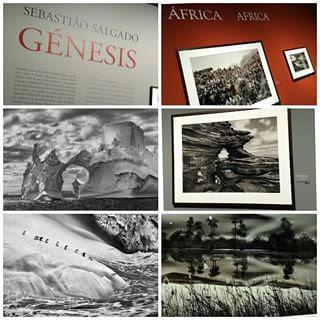 BLOGSSIPGIRL HA ESTADO ALLI: EXPOSICIÓN 