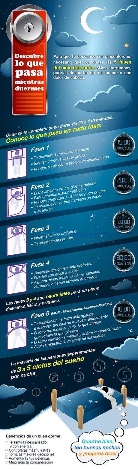 Descubre lo que pasa mientras duermes#curiosidades#sueño#infografía