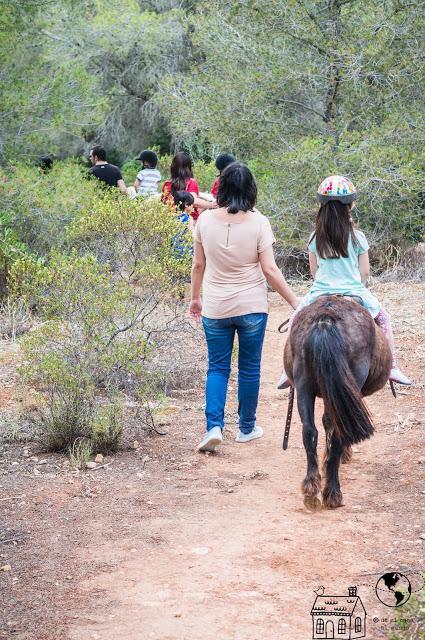 Por qué tus hijos deben aprender a montar a caballo