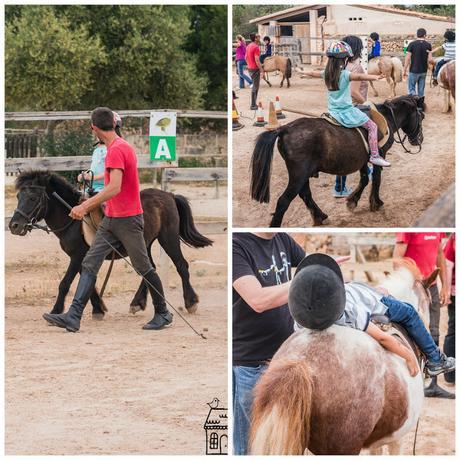Por qué tus hijos deben aprender a montar a caballo