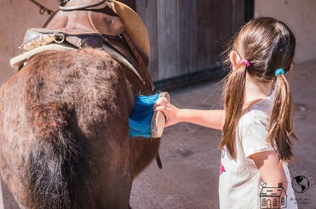 Por qué tus hijos deben aprender a montar a caballo