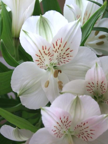 En estos días pasa...