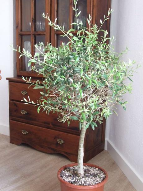 En estos días pasa...