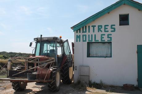 Atlántico francés (sur)