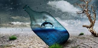 ¿Las selfies están arruinando tu vida?