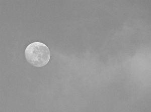 Luna del murciélago