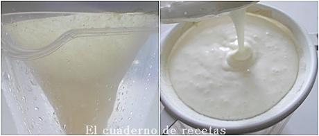Queso Crema de Kéfir