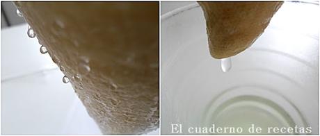 Queso Crema de Kéfir