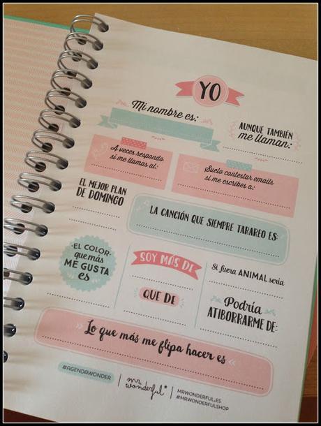 Agenda mr wonderful