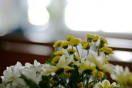 +flores_7_20150116 - Version 2