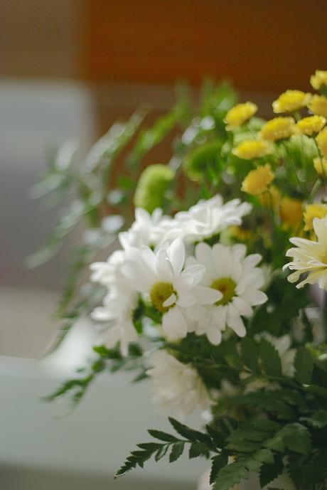 +flores_11_20150116 - Version 2