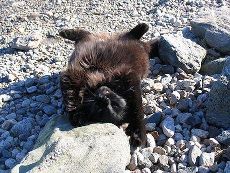 Marty, 1 de mayo de 2011