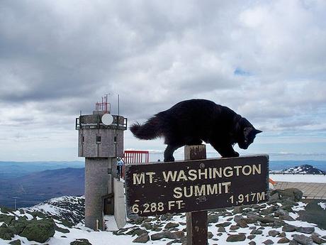Marty, 25 de abril de 2010