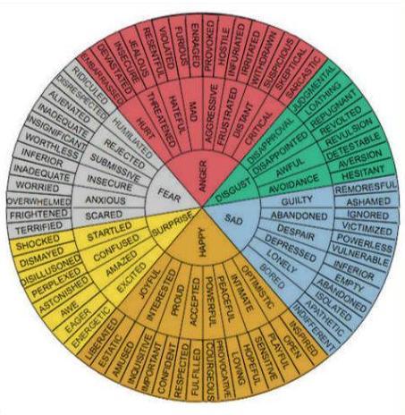 Rueda de las emociones