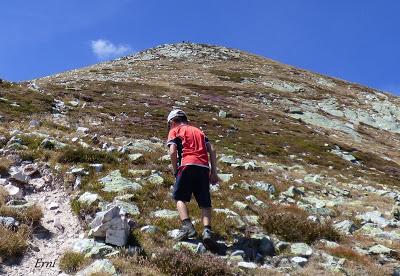 DANIEL DESCUBRE SOMIEDO Y SUS OSOS