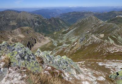 DANIEL DESCUBRE SOMIEDO Y SUS OSOS