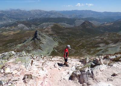 DANIEL DESCUBRE SOMIEDO Y SUS OSOS