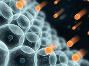 consejos para ganar batalla radicales libres