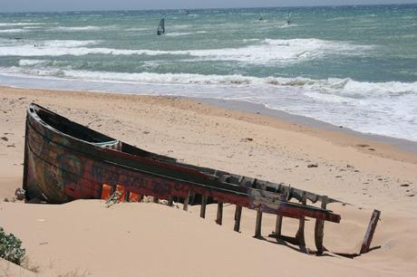 MEJILLONES FRITOS AL VAPOR