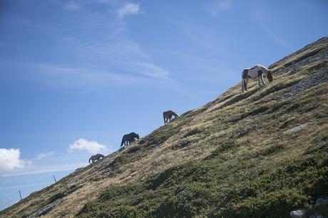 Subiendo a Pico Tres Mares