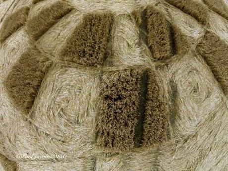 Impresionante crop circle reportado en Wiltshire, Reino Unido DJI003951