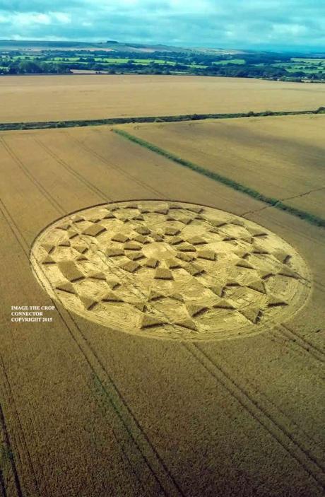 Impresionante crop circle reportado en Wiltshire, Reino Unido G0061043bbb