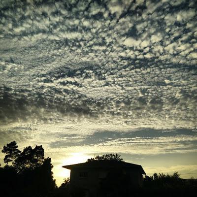 El resumen introspectivo de la blogosfera