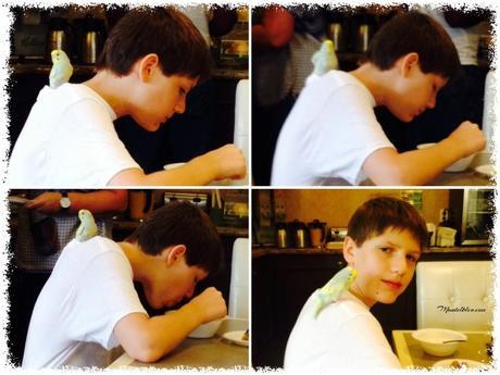 Recorriendo la Costa Este USA Florida