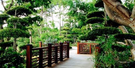 Recorriendo la Costa Este USA Florida