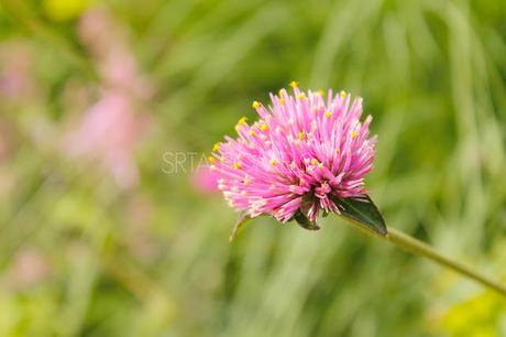 Vacaciones en París. Parte I.