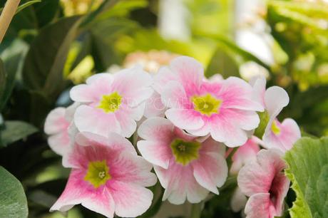 Vacaciones en París. Parte I.