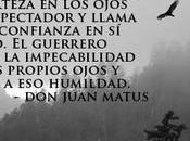 "juego"