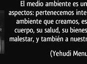 Elementos contaminantes
