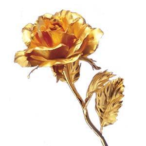 EXPANDIÉNDOSE  MÁS COMO AMOR por Kara Schallock