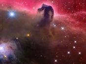 magnífica nebulosa Cabeza Caballo