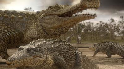 Pobres cocodrilos
