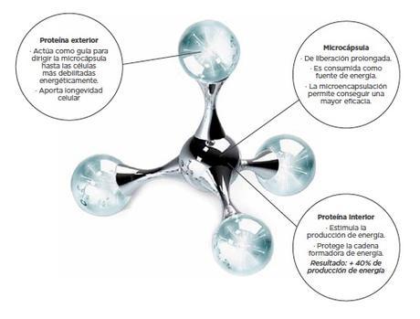 Los Proteoglicanos SPF15 de Be+ - un elixir para combatir los signos del envejecimiento