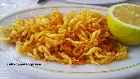 chanquetes-santa-ana-denis